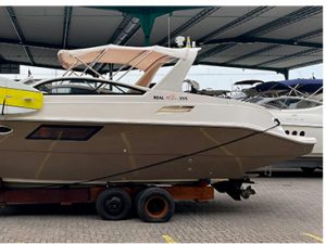 BAYLINER 310 – 2013